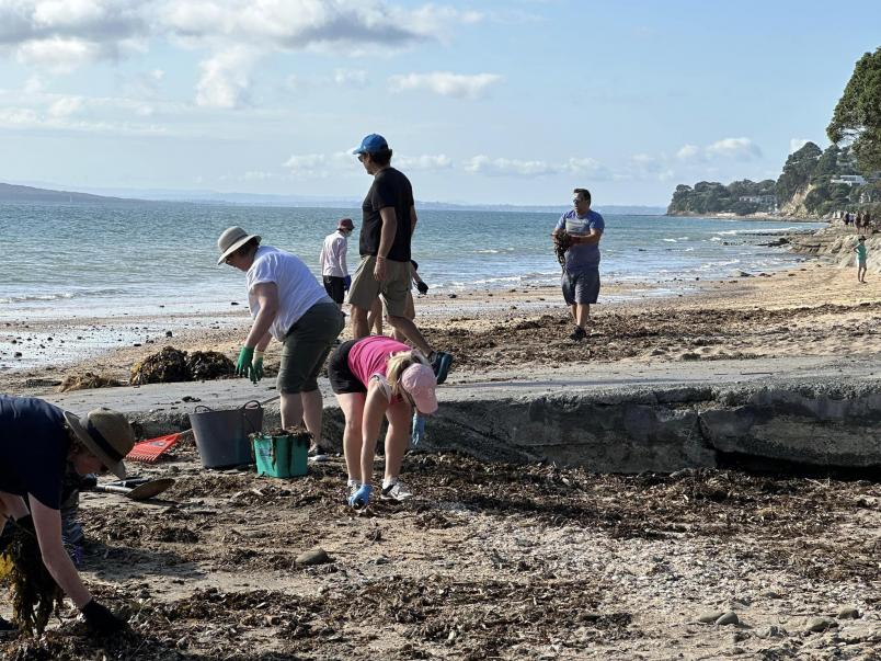 As many as 300 people showed up to help clean Murrays Bay Beach. 
