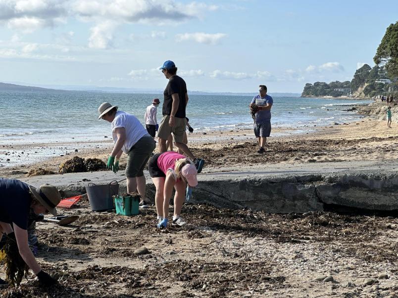 As many as 300 people showed up to help clean Murrays Bay Beach.