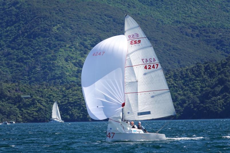 Rough and Reddy's eight-year winning streak was snapped at the 2023 Elliott 5.9 national championships last weekend. Photo / NZ Elliott 5.9 Class Association