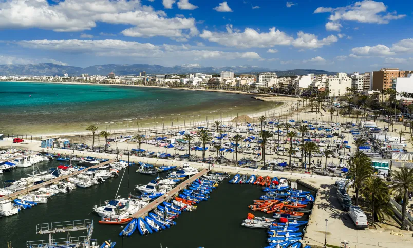Palma Palma