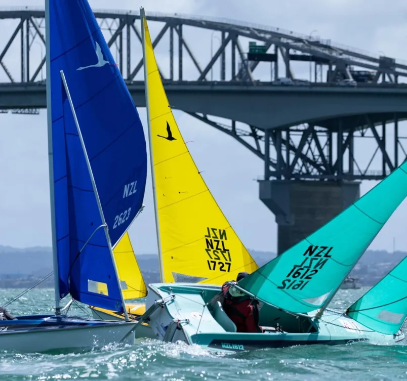 Sailability Auckland