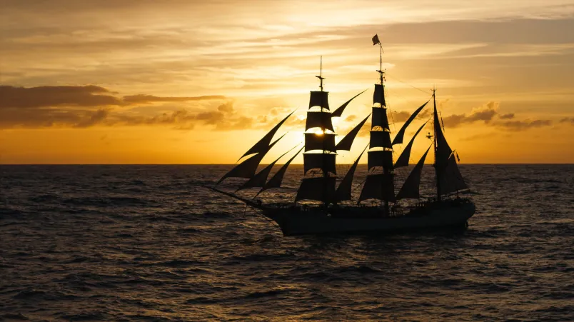 Bark EUROPA