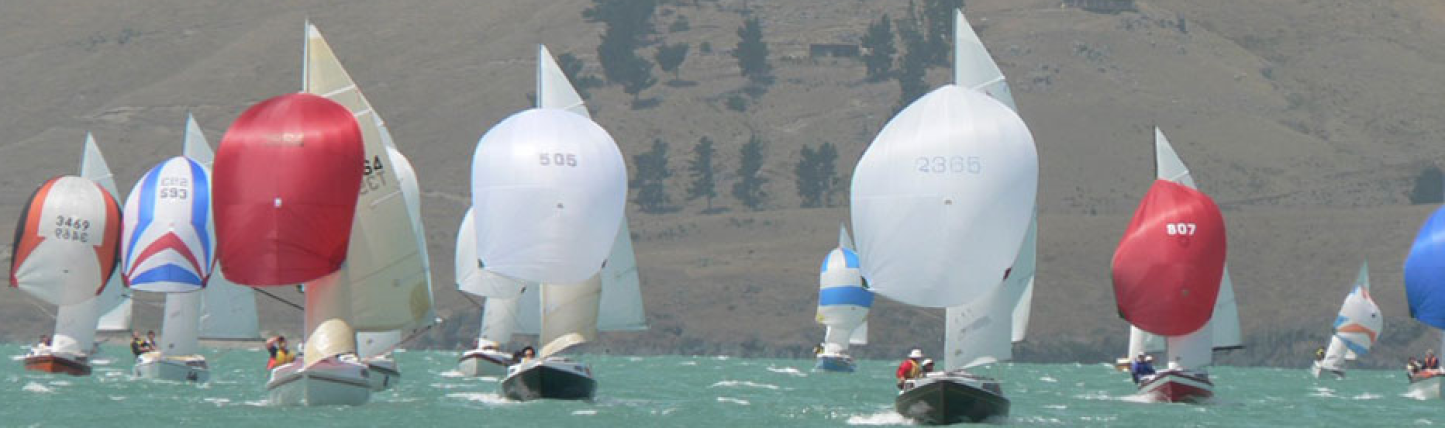 Noelex 22 banner size