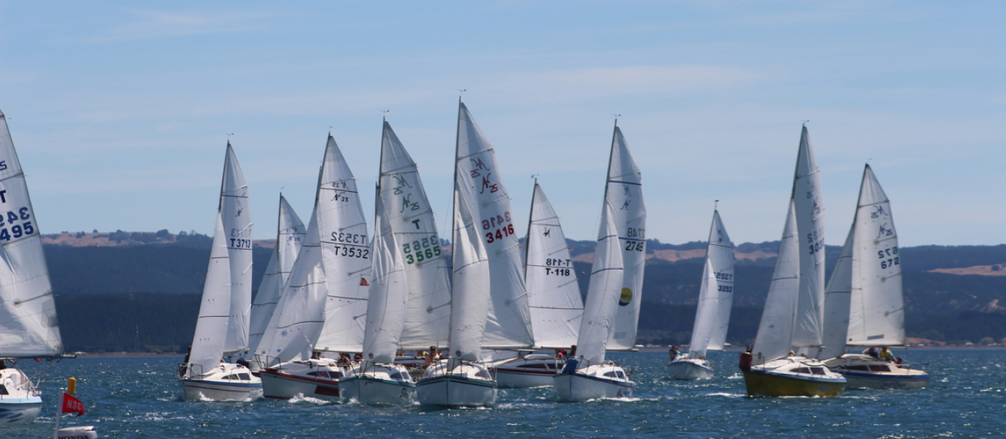 Noelex 25 Banner size