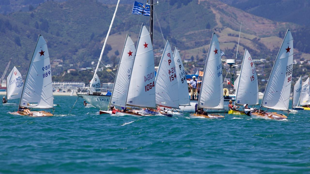 Whakatau regatta- starling