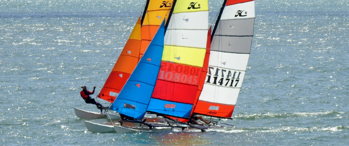 Hobie crop