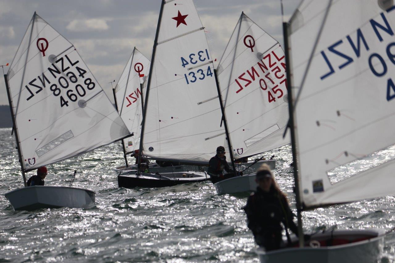 Junior Sail Auckland Yachting New Zealand