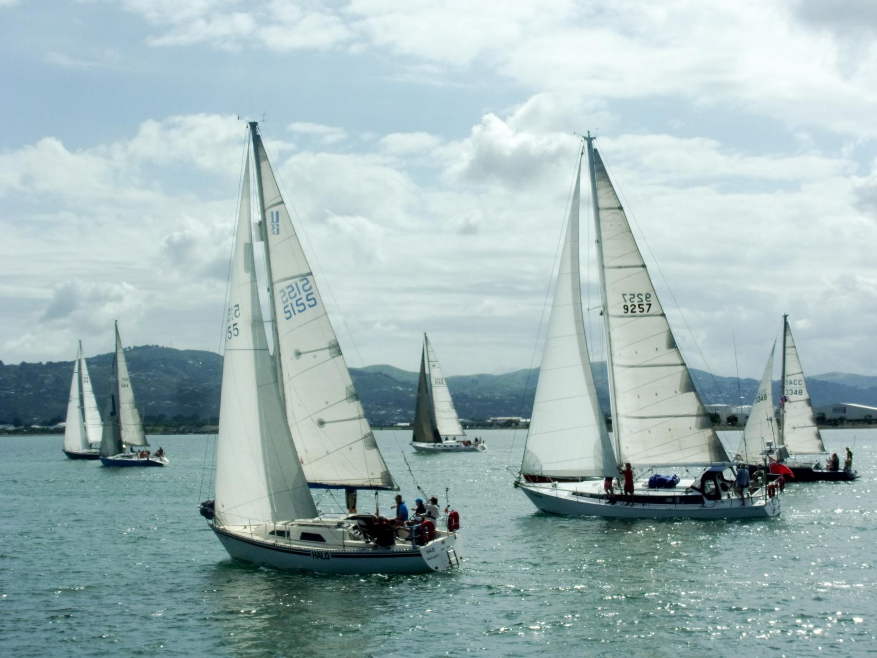 Record fleet for Wellington 24hour race Yachting New Zealand