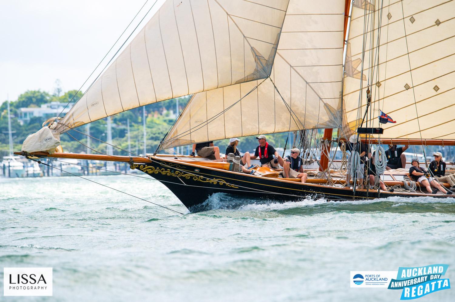 yachting in new zealand