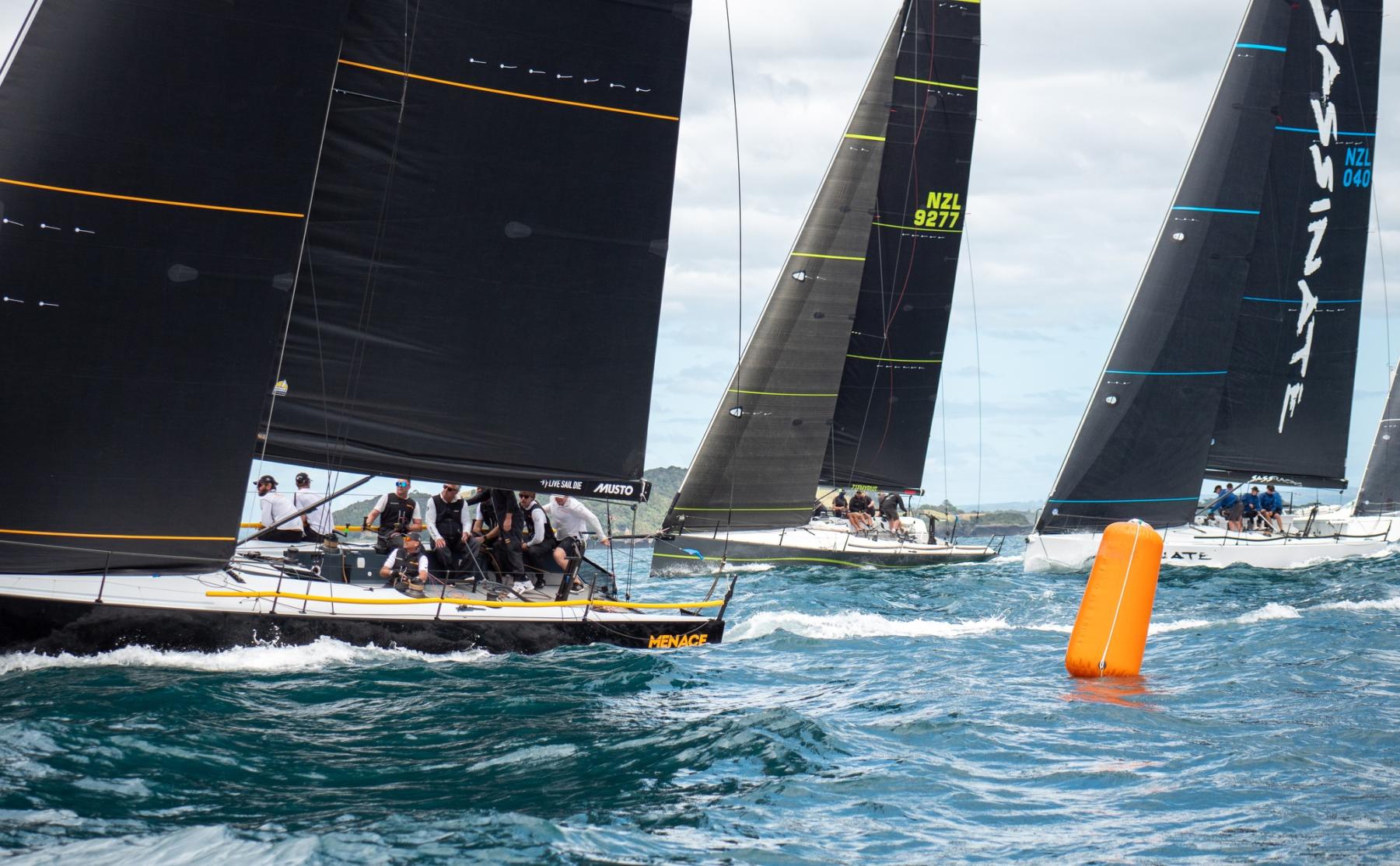 AALBOVE PEAK つつましく & PINE Ribece 2024新作 